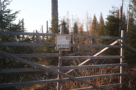 Foto de Puerta de madera con letrero en el bosque - Imagen libre de derechos