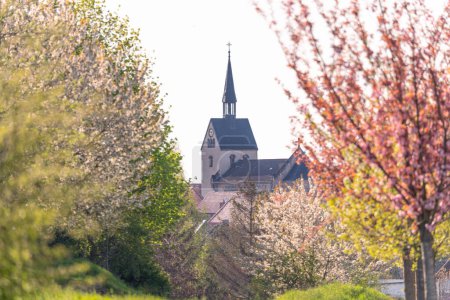 Téléchargez les photos : Vieille église avec une architecture clocher et beau parc - en image libre de droit