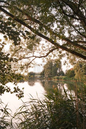 Téléchargez les photos : Belle vue sur le lac avec et les arbres verts - en image libre de droit