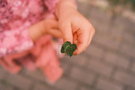 Téléchargez les photos : Vue rapprochée de la personne tenant de petites feuilles vertes à la main - en image libre de droit
