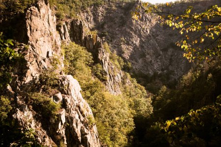 Téléchargez les photos : Beau paysage au canyon de Bode dans les montagnes du Harz - en image libre de droit
