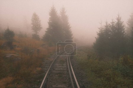 Téléchargez les photos : Voies ferrées dans le brouillard avec des arbres en arrière-plan - en image libre de droit