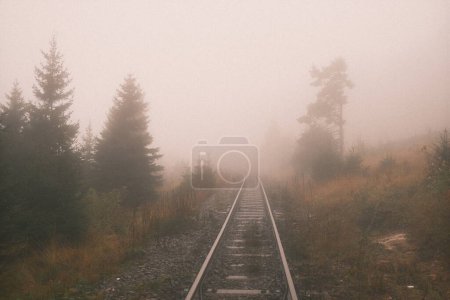 Foto de Vías del tren en la niebla con árboles en el fondo - Imagen libre de derechos