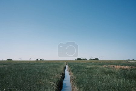 Foto de Hermoso paisaje rural con canal y campo verde en el campo, butjadingen, Alemania - Imagen libre de derechos