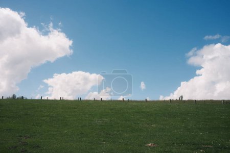 beautiful landscape with green field of grass and blue sky     