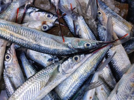 Téléchargez les photos : Heap of fullbeak fish in a basket close up view HD - en image libre de droit