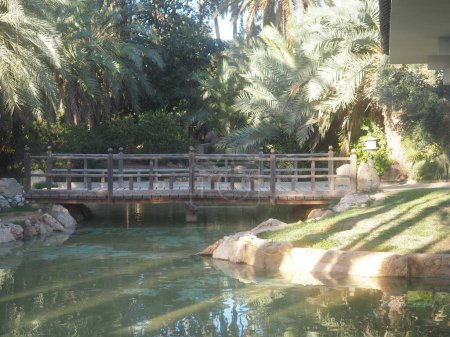 Photo for Beautiful tropical landscape in the park - Royalty Free Image
