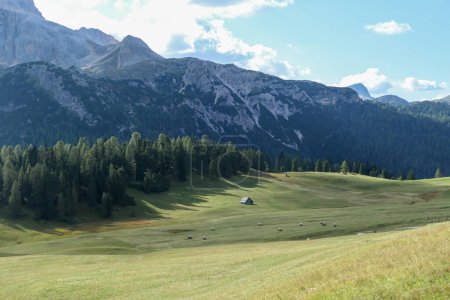 Photo for A panoramic view on the high Italian Dolomites. Sharp and steep mountain slopes. Lush green plateau around with some wildflowers and trees growing in between. A few clouds in the back. Serenity - Royalty Free Image