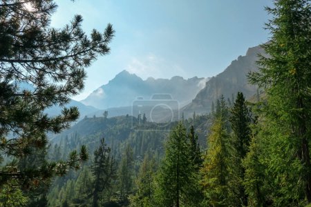 Foto de Una vista panorámica de un valle en Dolomitas italianas. Las partes más bajas del valle están completamente cubiertas de bosques densos. En la parte posterior hay cadenas montañosas altas y afiladas. Día brillante y soleado - Imagen libre de derechos