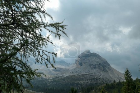 Téléchargez les photos : Vue rapprochée sur une montagne pierreuse et escarpée dans les Dolomites italiennes. La montagne massive est entourée de nuages. Il y a quelques branches d'arbres devant. Paysage isolé et désolé. Couvert - en image libre de droit