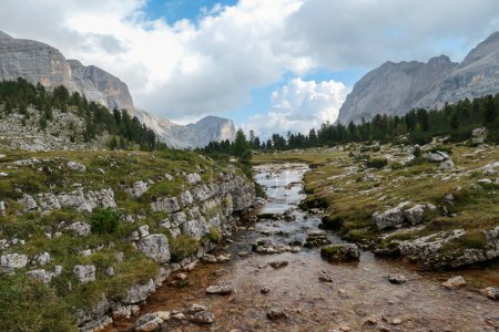 Téléchargez les photos : Un torrent précipité dans les Dolomites italiennes. Il n'y a pas beaucoup d'eau dans le torrent, quelques pierres sortent. Chaînes de haute montagne à l'arrière. Forest sur le côté. Pouvoir de la nature - en image libre de droit