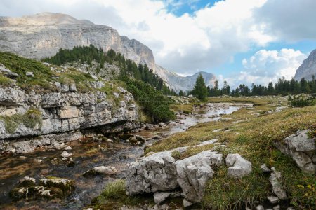 Téléchargez les photos : Un torrent précipité dans les Dolomites italiennes. Il n'y a pas beaucoup d'eau dans le torrent, quelques pierres sortent. Chaînes de haute montagne à l'arrière. Forest sur le côté. Pouvoir de la nature - en image libre de droit