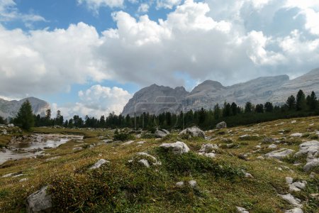 Téléchargez les photos : Une vue panoramique sur une vallée avec un torrent le long de celui-ci dans les Dolomites italiennes. Chaînes de montagnes acérées et pierreuses devant. Quelques rochers sur la prairie verte. Forêt dense au pied de la colline. Un peu de ciel couvert - en image libre de droit