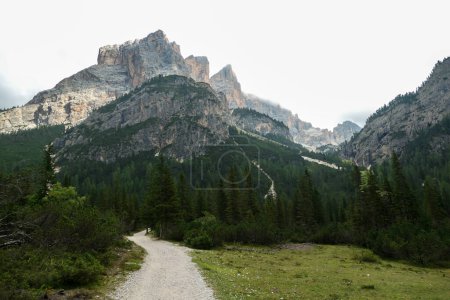 Téléchargez les photos : Une route gravelée menant à travers un contrefort de hautes Dolomites italiennes. Des montagnes hautes et pointues. Les pentes et les prairies sont vertes, les parties supérieures sont stériles et pierreuses. Couvert. Endroit isolé et désolé - en image libre de droit