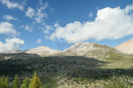 Téléchargez les photos : Une vue panoramique sur la vallée dans les Dolomites italiennes. Forêt dense envahit les pentes des montagnes. Plantes vertes luxuriantes. Chaînes de haute montagne à l'arrière. Printemps dans les montagnes. Journée ensoleillée. Sérénité - en image libre de droit