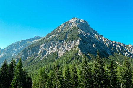 Photo for A clear view on Mittagskogel in Austrian Alps. The mountain stands independently. The high mountain is overgrown with a lush forest, with barren and sharp peak. Clear and sunny day. Alpine landscape - Royalty Free Image