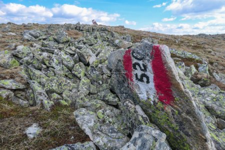 A panoramic view on an Alpine chain in Austria, partially covered with snow. There is red-white-red path mark on the stone. Route 520. The vast pasture has golden colors. A bit of overcast. Following