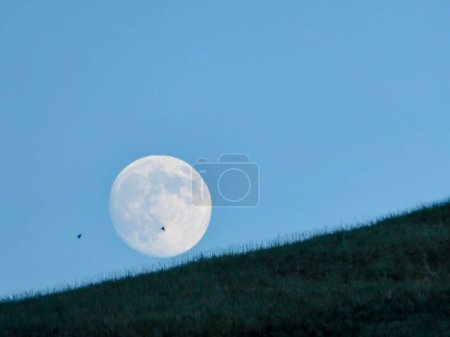 Photo for A full moon rising above the hilly grassland in the nearby of Xilinhot, Inner Mongolia, China. The sky behind it is cloudless and light blue. Two birds flying across the sky. New moon. Serenity - Royalty Free Image