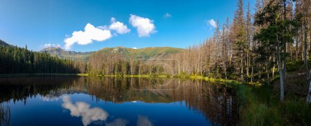 Foto de A panoramic view on Smreczynski Staw in Tatra Mountains in Poland. Glacial tarn at the mouth of Pysznianska Valley. The high Tatra chains are reflecting in the calm surface of the lake. White clouds - Imagen libre de derechos