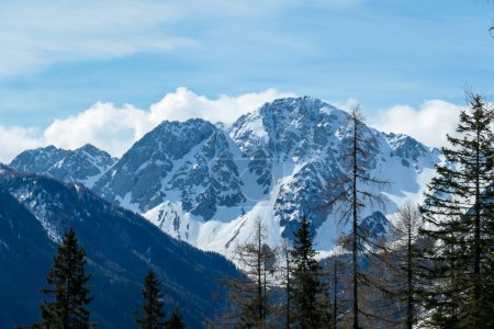 Photo for A close up view on the sonw-capped Alps in Slovenia. There are thick, white clouds behind the mountains. There are a few trees in the frame. Idyllic landscape. Cloudy, but sunny day. Calmness - Royalty Free Image
