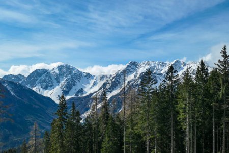 Téléchargez les photos : Vue rapprochée sur les Alpes à capuchon sonw en Slovénie. Il y a des nuages épais et blancs derrière les montagnes. Il y a quelques arbres dans le cadre. Paysage idyllique. Nuageux, mais ensoleillé. Calme - en image libre de droit