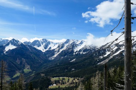 Téléchargez les photos : Une vue panoramique sur la vallée de Baeren dans les Alpes autrichiennes. Les plus hauts sommets de la chaîne sont à capuchon sonw. Un pâturage verdoyant devant. Quelques arbres sur les pentes. Journée claire et ensoleillée. Chaînes de haute montagne. - en image libre de droit