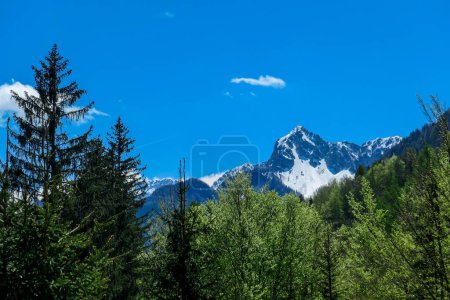 Photo for A panoramic view on Baeren Valley in Austrian Alps. The highest peaks in the chain are snow-capped. Lush green pasture in front. A few trees on the slopes. Clear and sunny day. High mountain chains. - Royalty Free Image