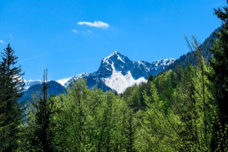 Téléchargez les photos : A panoramic view on Baeren Valley in Austrian Alps. The highest peaks in the chain are snow-capped. Lush green pasture in front. A few trees on the slopes. Clear and sunny day. High mountain chains. - en image libre de droit