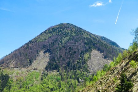 Téléchargez les photos : Une vue panoramique sur Sinacher Gupf depuis Matschacher Gupf dans les Karawanks, Alpes autrichiennes. La montagne est couverte de forêt. Un pâturage verdoyant devant. Journée claire et ensoleillée. La soif d'errance - en image libre de droit