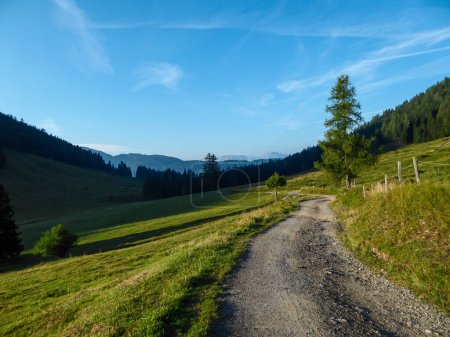 Téléchargez les photos : A gravelled road going towards high Alpine peaks in Austria. The sides of the road are overgrown with lush green grass. Dense forest on the slopes. Exploration and discovery. Beauty of the nature - en image libre de droit