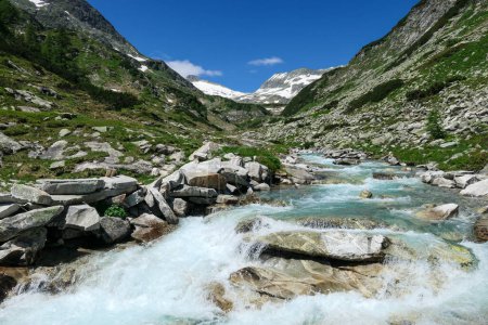 Photo for A rushing torrent in the Austrian Alps. The meadow around it is overgrown with lush green grass. In the back there is a glacier. Sunny and bright day. Power of the nature. Remedy and serenity - Royalty Free Image