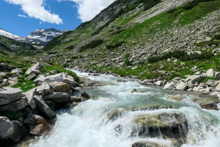 Photo for A rushing torrent in the Austrian Alps. The meadow around it is overgrown with lush green grass. In the back there is a glacier. Sunny and bright day. Power of the nature. Remedy and serenity - Royalty Free Image
