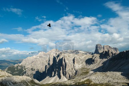 Téléchargez les photos : Un oiseau survolant la vallée dans les Alpes italiennes. La vallée est entourée de hauts sommets escarpés. Les pentes sont verdoyantes. Peu de nuages mous sur le ciel. Paysage brut. Remède et liberté - en image libre de droit