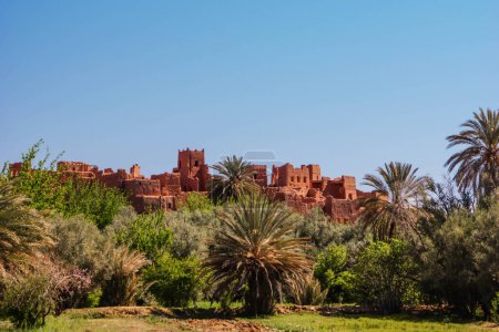 Photo for Quarzazate is a city in the desert surrounded by large amount of the palm trees. Morocco . Captured on a bright day - Royalty Free Image