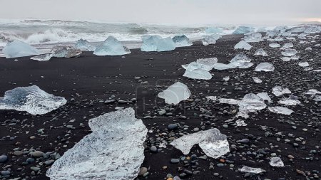 Ice formations, laying on the black sand beach in Iceland, diamond beach. Rough sea throws the ice bergs on the shore, letting them melt slowly.  Beautifully shaped ice.
