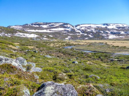 Foto de Una pradera extendida por las tierras altas del condado de Hordaland, Noruega. Las montañas más altas todavía están parcialmente cubiertas de nieve. Río que fluye en el fondo. Día claro y soleado, perfecto para una caminata. - Imagen libre de derechos