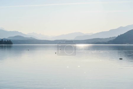 Téléchargez les photos : A view on a lake and Alps in the back. The calm surface of the lake is reflecting the mountains, sunbeams and clouds. Clear and sunny day. Calm and relaxed feeling. Few ducks crossing the lake - en image libre de droit