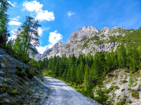 Téléchargez les photos : Une petite route gravelée dans la chaîne de montagnes des Dolomites de Lienz, Autriche. Les montagnes sont partiellement envahies par des buissons verts. Dangereux alpinisme. Grands arbres poussant devant - en image libre de droit
