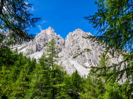 Téléchargez les photos : Une vue à distance sur la chaîne de montagnes massives et pierreuses des Dolomites de Lienz, Autriche. Les montagnes sont partiellement envahies par des buissons verts. Dangereux alpinisme. Grands arbres poussant devant - en image libre de droit