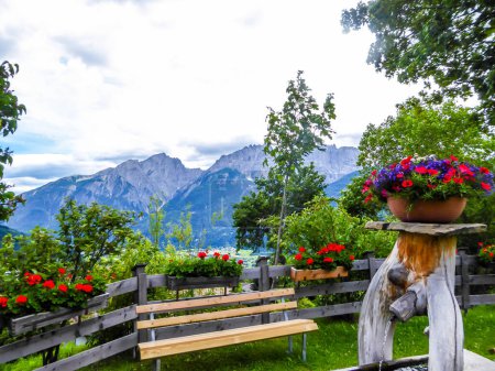 Téléchargez les photos : Vue sur le jardin alpin sur la chaîne de montagnes pierreuses et escarpées de Lienz Dolomites, Autriche. Les pentes sont stériles, avec peu d'herbe dessus. Dangereux alpinisme. Beauté naturelle. Fleurs colorées - en image libre de droit