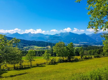 Photo for A panoramic view on an alpine landscape of Austria. Lush green meadow spreads on a vast surface. There are high Alps in the back. Few trees on the side, forming a small forest. Idyllic landscape. - Royalty Free Image