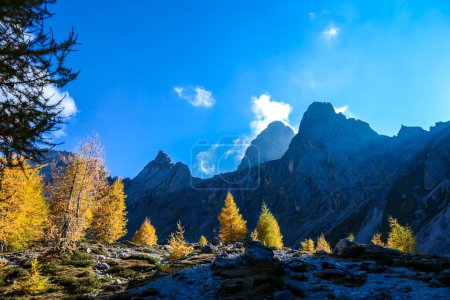 Téléchargez les photos : Vue panoramique sur les Dolomites de Lienz, Autriche, baignade au soleil du matin. Les rayons du soleil pénètrent dans la vallée par de hauts sommets montagneux, atteignant la forêt située en aval. Le nouveau jour commence - en image libre de droit