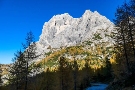 Foto de A huge mountain wall towering above the forest in Lienz Dolomites, Austria. The mountain slopes are barren, sharp and dangerous. High mountain climbing. Freedom and solitude. - Imagen libre de derechos