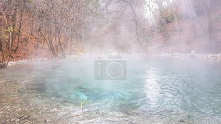 Foto de A natural thermic spring in Maibachl, Austria during autumn. The thermic pool is located in the middle of the forest. Healing power of natural water. The steam rises above the water. Relaxation - Imagen libre de derechos