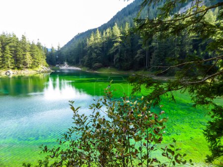 Foto de A view through the tree branches on Green Lake, located in an Alpine valley in Austria. The alga give the lake its turquoise color. The lake collects the glacier's water. Dense forest around the lake - Imagen libre de derechos