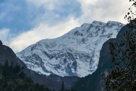 Photo for View on Himalayan valley along Annapurna Circuit Trek, Nepal. There is a dense forest in front. High, snow caped mountains' peaks catching the sunbeams. Serenity and calmness. Barren slopes - Royalty Free Image