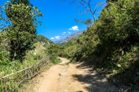 Foto de A trekking trail along Annapurna Circuit Trek, Nepal.  The pathway is very wide, gravelled. There is a small wooden fence along it. Lush green trees and bushes growing on both sides of the way. - Imagen libre de derechos