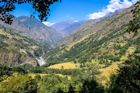 Foto de Lush green rice paddies along Annapurna Circuit Trek, Nepal. The rice paddies are located in the Himalayan valley. Lots of trees growing in between. High Mountains in the back. Clear and bright day. - Imagen libre de derechos