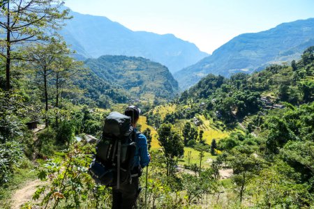 Foto de A man hiking along lush green rice paddies along Annapurna Circuit Trek, Nepal. The rice paddies are located in the Himalayan valley. Lots of trees growing in between. High Mountains in the back - Imagen libre de derechos