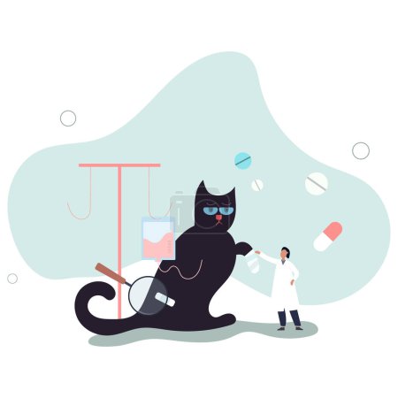 Illustration for Veterinarian occupation.Cats clinic care with treatment medicine and pills.flat vector illustration. - Royalty Free Image